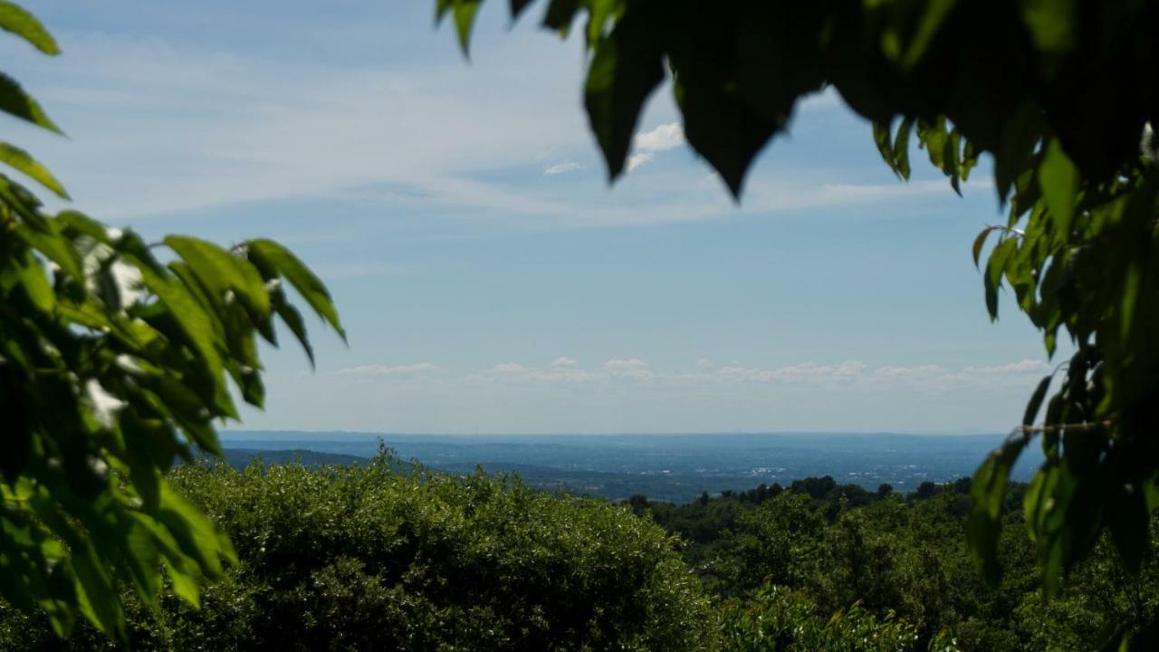 Les Cerisiers De Stella Villa Blauvac Exteriör bild